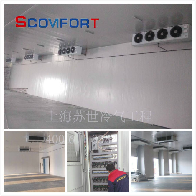 上海小型冷庫全套報價 專業(yè)后廚冷庫設計 021-66105069